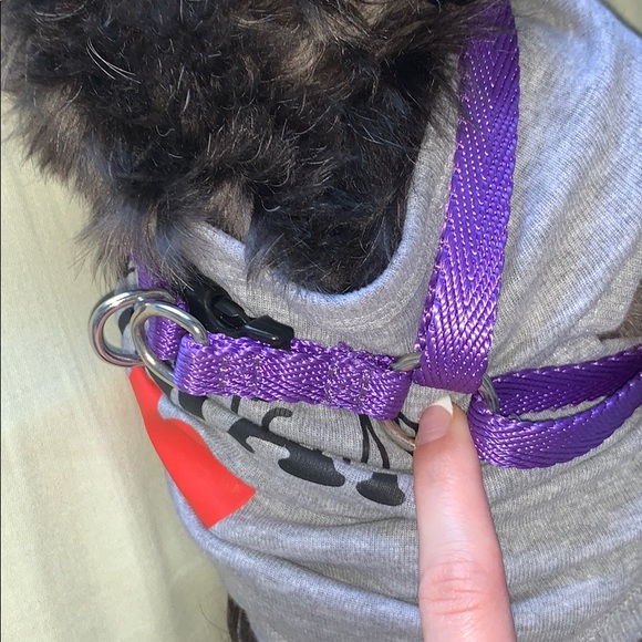 Dog Bundle 💜 - Picture 8 of 8